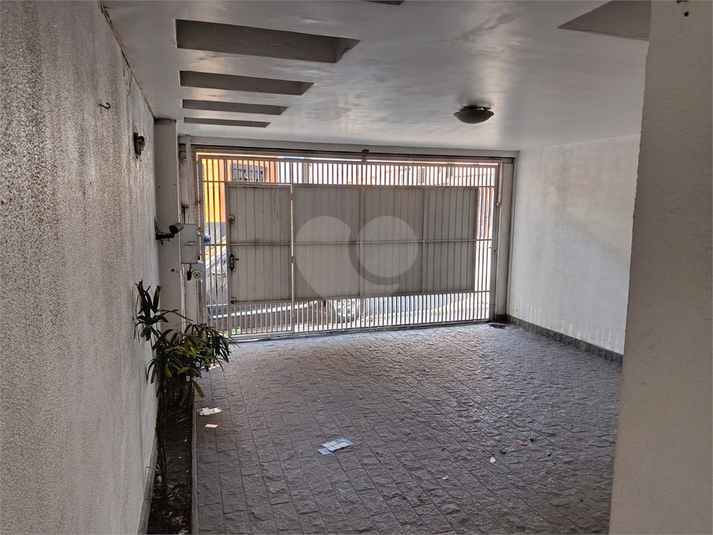 Foto REO1116966