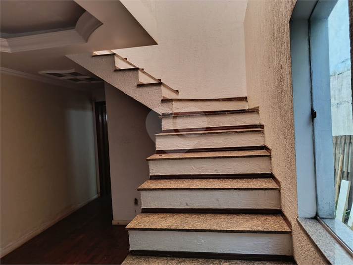Foto REO1116966