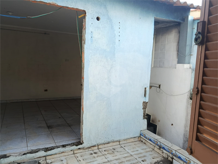 Foto REO1116966