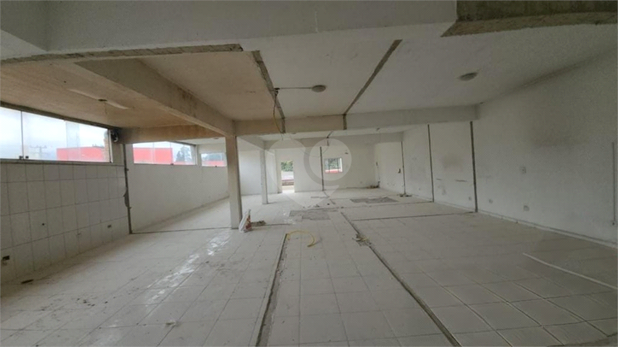 Foto REO1116968