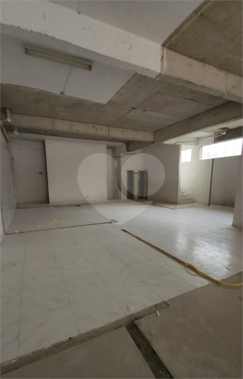 Foto REO1116968