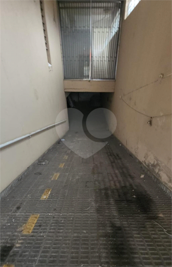 Foto REO1116968