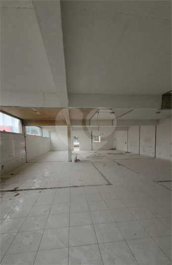 Foto REO1116968