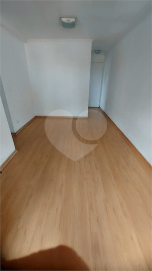 Foto REO1116970