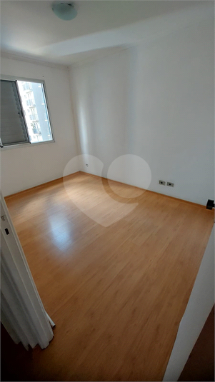 Foto REO1116970