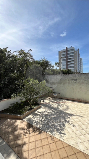 Foto REO1116971