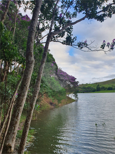 Foto REO1116972