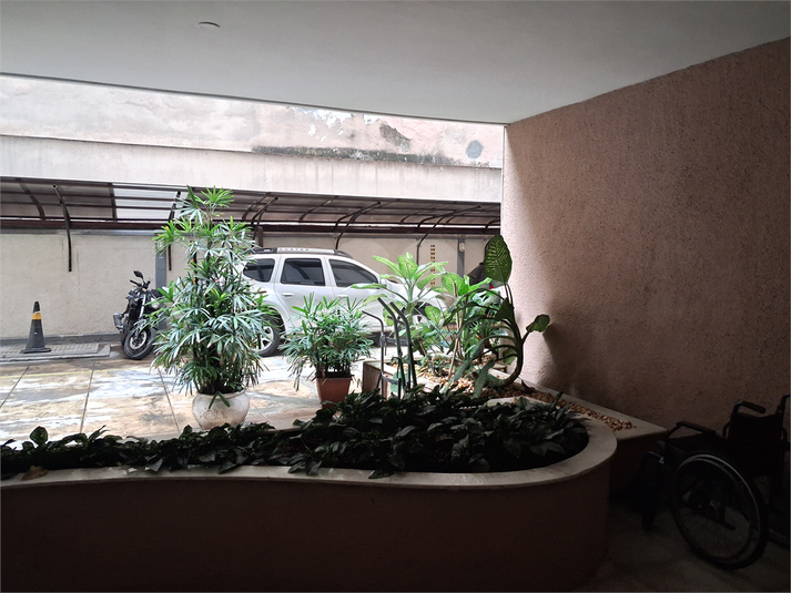 Foto REO1116977