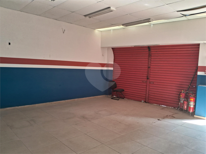 Foto REO1117002