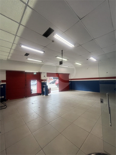 Foto REO1117002