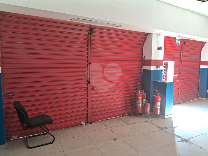 Foto REO1117002