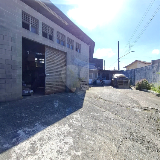 Foto REO1117006