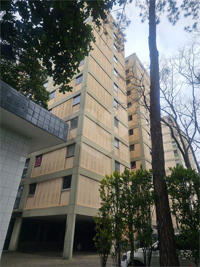 Foto REO1117039