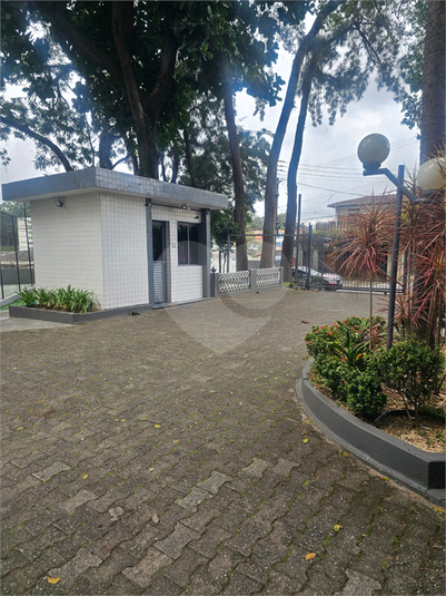 Foto REO1117039