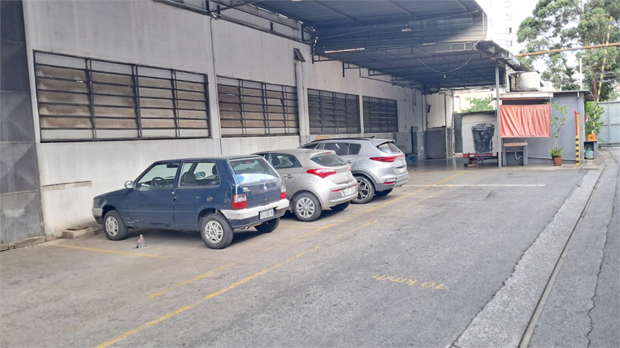 Foto REO1117075