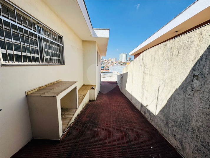 Foto REO1117083