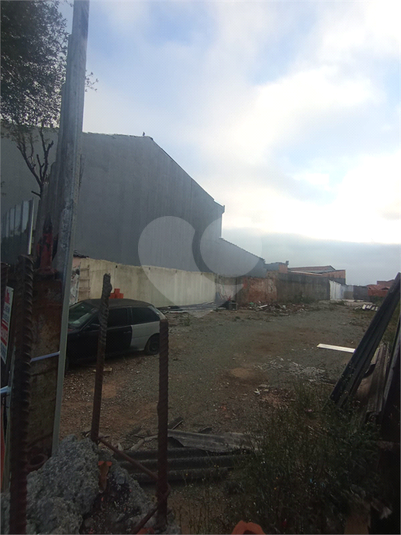 Foto REO1117087