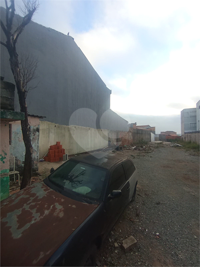 Foto REO1117087