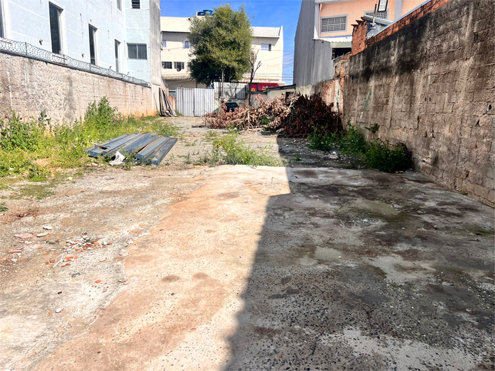 Foto REO1117087