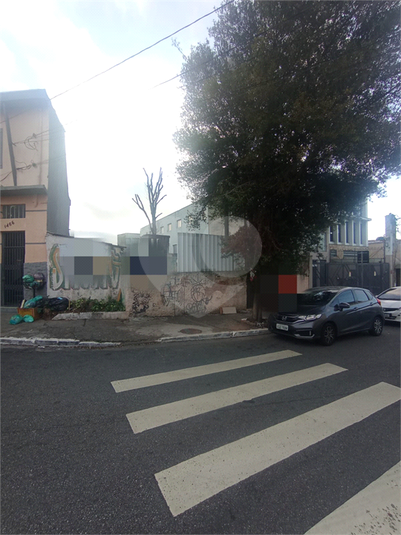 Foto REO1117087