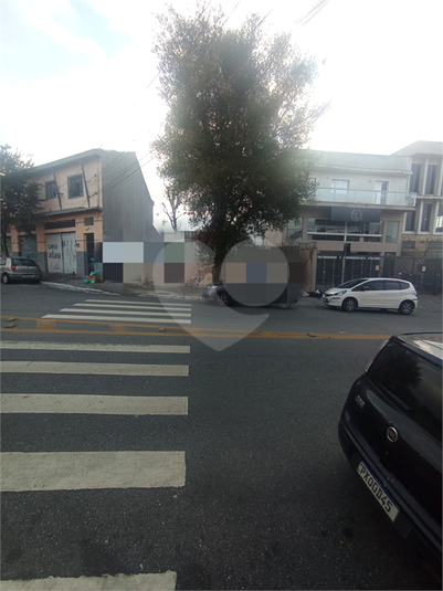 Foto REO1117087