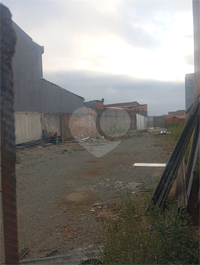 Foto REO1117087
