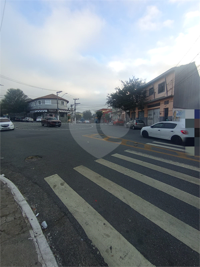 Foto REO1117087