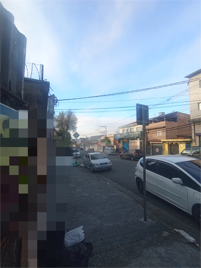 Foto REO1117087