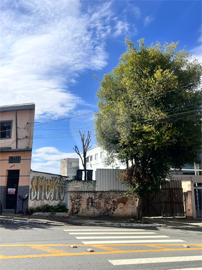 Foto REO1117087