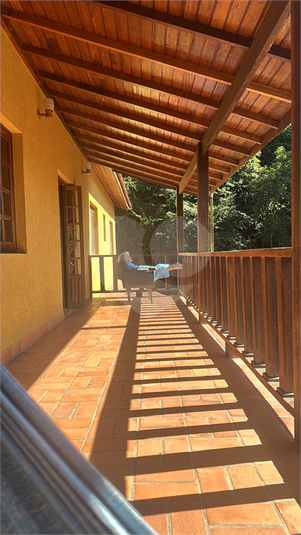 Foto REO1117119