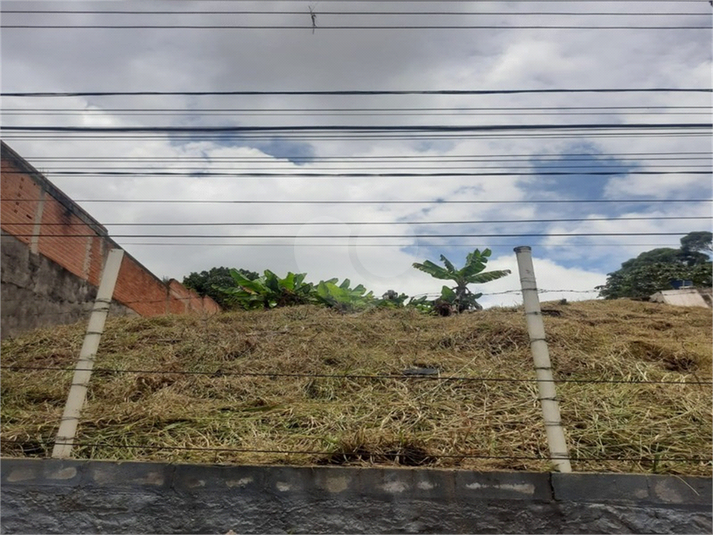 Foto REO1117145
