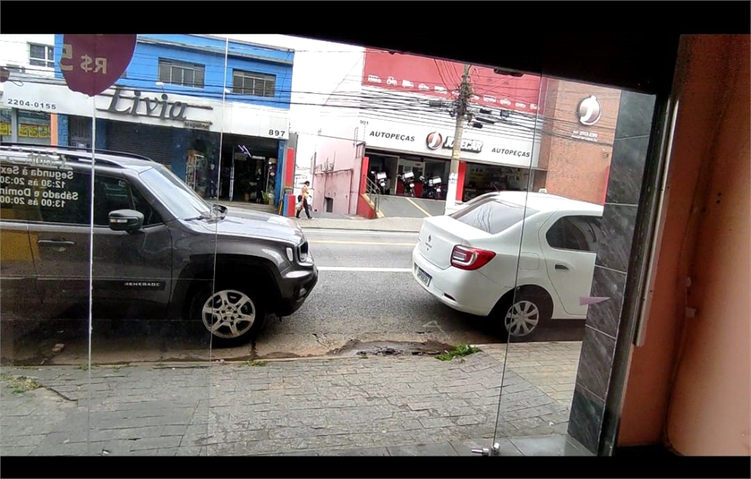 Foto REO1117153