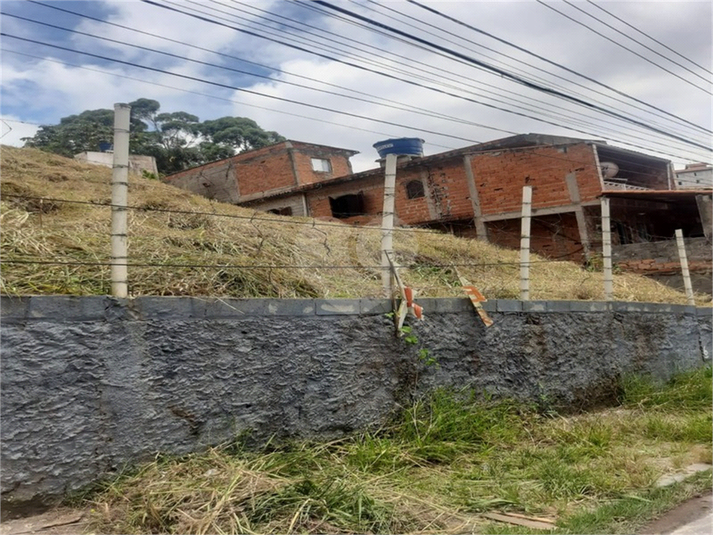 Foto REO1117155
