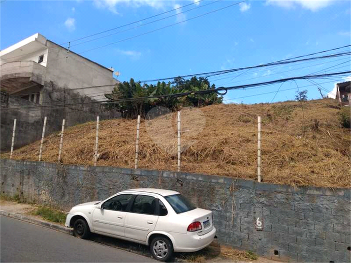 Foto REO1117155