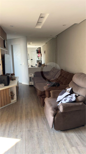 Foto REO1117158