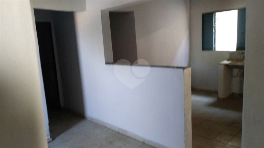 Foto REO1117167