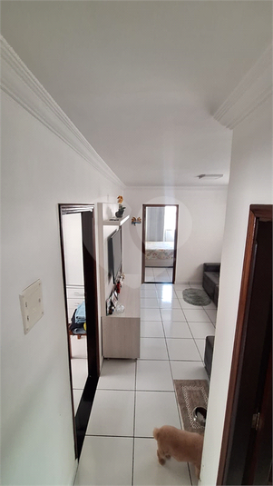 Foto REO1117167
