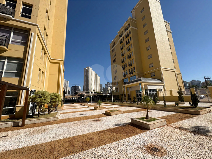 Foto REO1117184