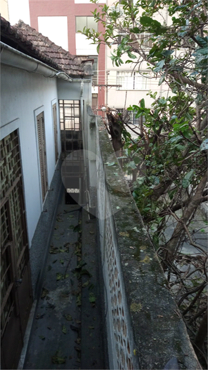 Foto REO1117186