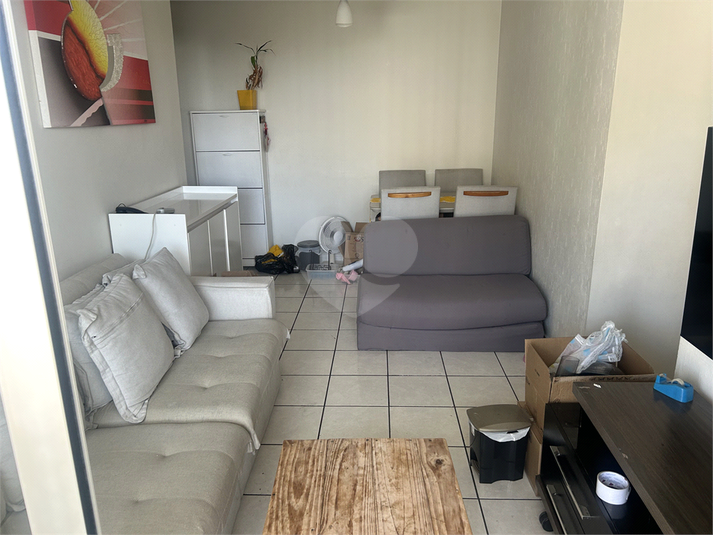 Foto REO1117191