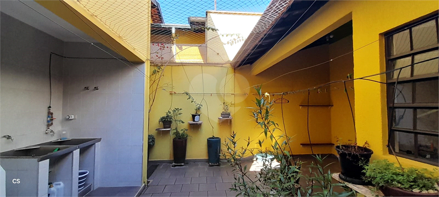Foto REO1117217