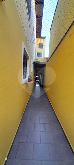 Foto REO1117217