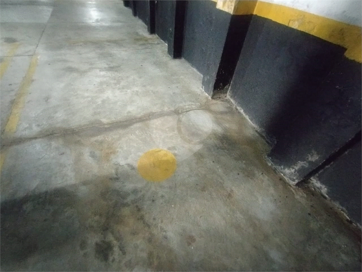 Foto REO1117247
