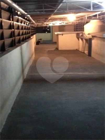 Foto REO1117249