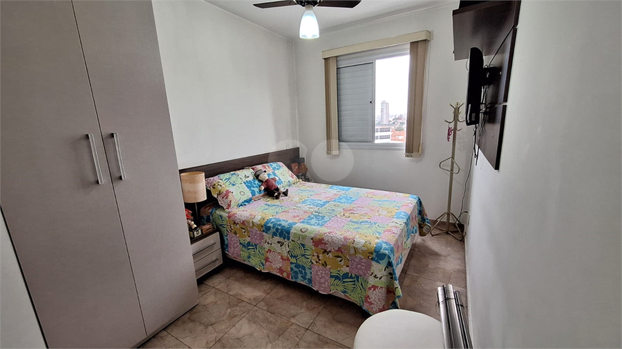 Foto REO1117253