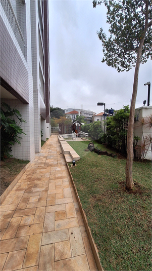 Foto REO1117253
