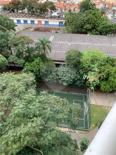 Foto REO1117256