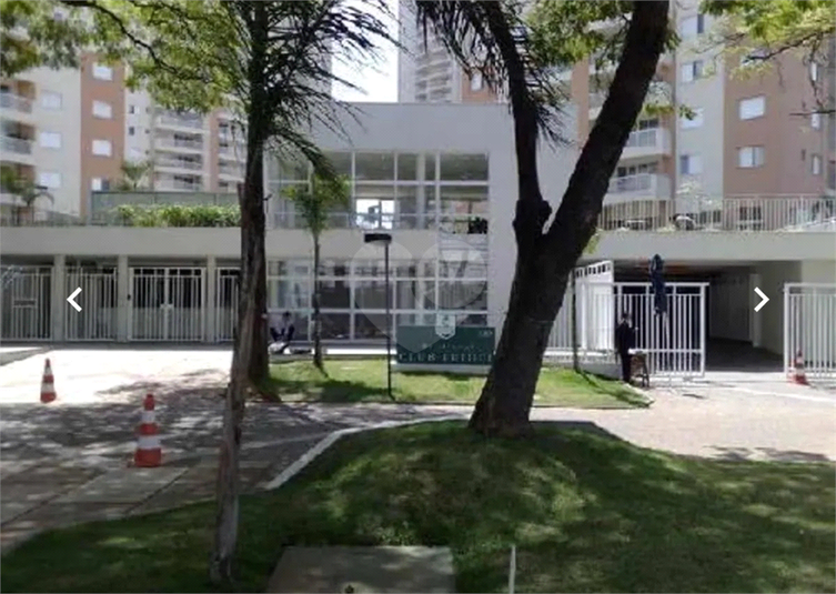 Foto REO1117256