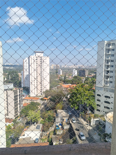 Foto REO1117277