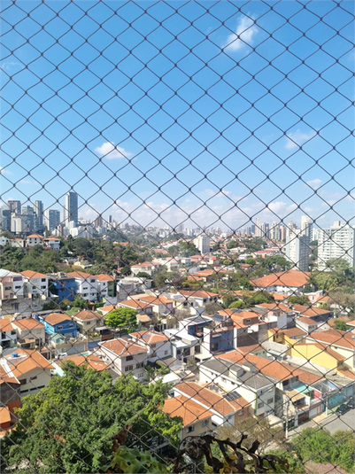 Foto REO1117277